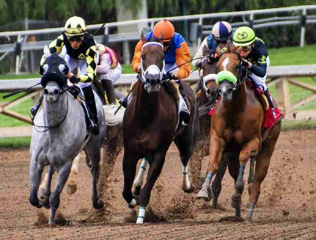 Migliori Bookmakers non AAMS Scommesse Ippiche