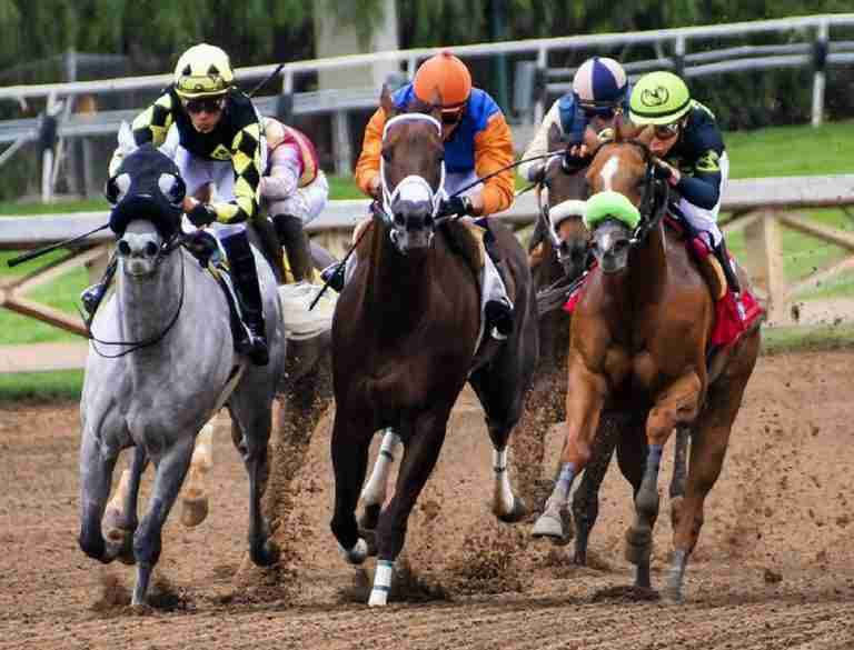 Migliori Bookmakers non AAMS Scommesse Ippiche