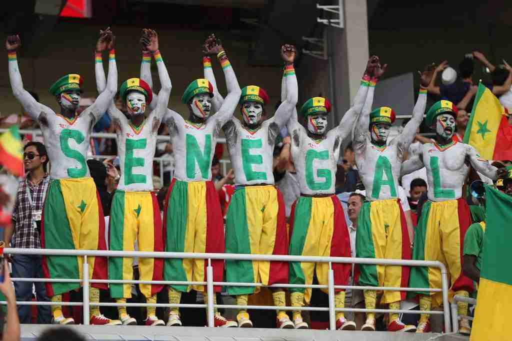 Tifosi Senegal
